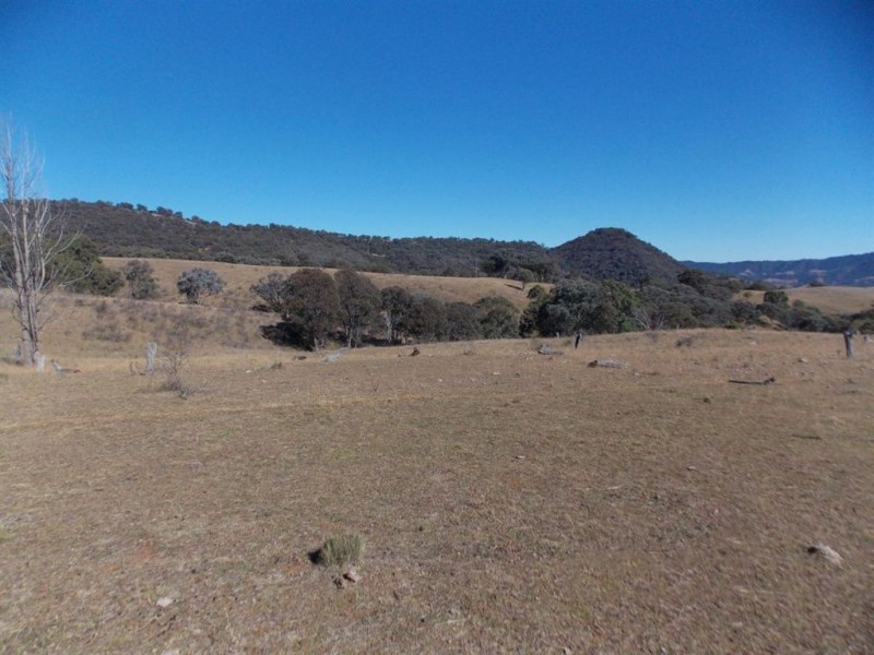 . Tomalla Rd, “Mountain Paddock”, Ellerston NSW 2337