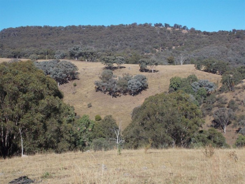 . Tomalla Rd, “Mountain Paddock”, Ellerston NSW 2337