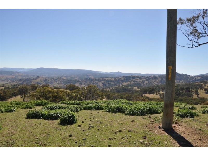 . Tomalla Rd, “Mountain Paddock”, Ellerston NSW 2337