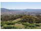 . Tomalla Rd, “Mountain Paddock”, Ellerston NSW 2337