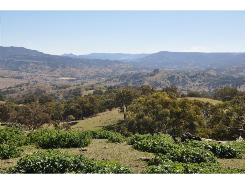 . Tomalla Rd, “Mountain Paddock”, Ellerston NSW 2337