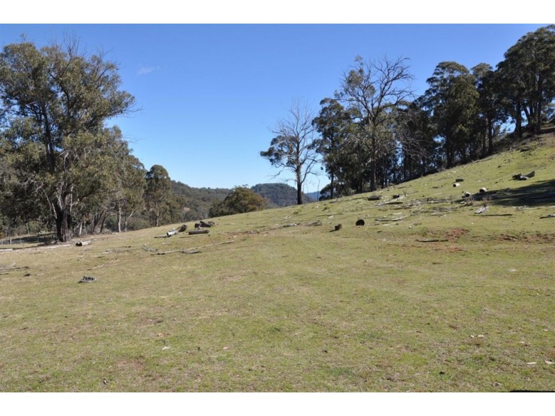 . Tomalla Rd, “Mountain Paddock”, Ellerston NSW 2337
