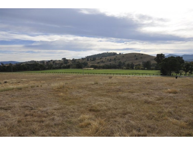 924 Rouchel Rd, Aberdeen NSW 2336