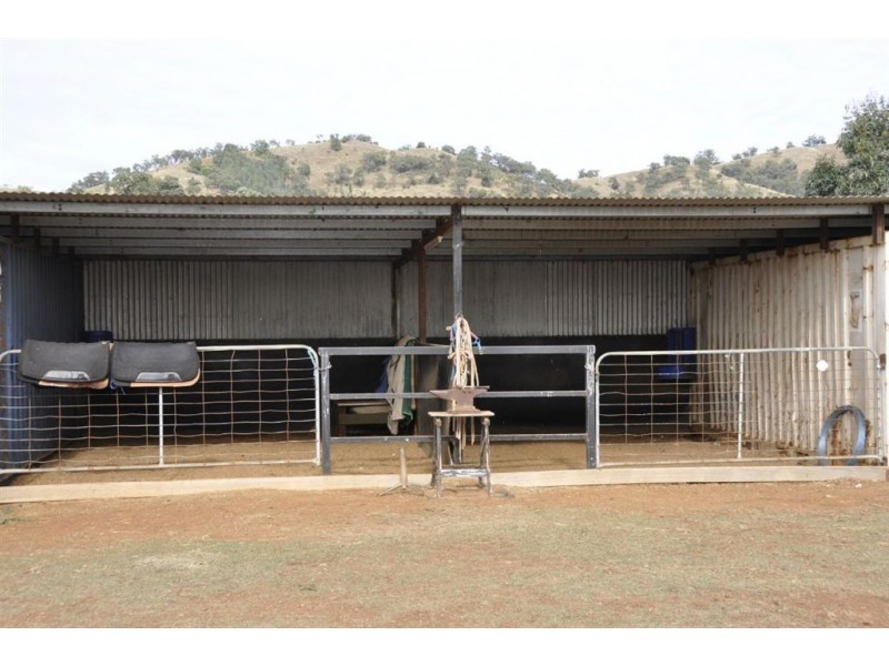 924 Rouchel Rd, Aberdeen NSW 2336
