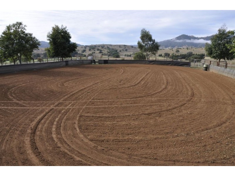 924 Rouchel Rd, Aberdeen NSW 2336