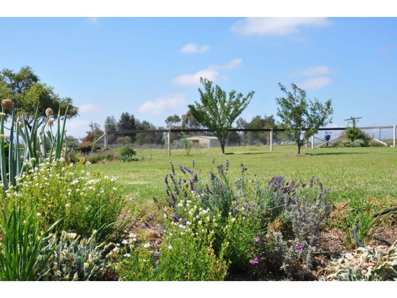 12 South Tullong Rd, Scone NSW 2337