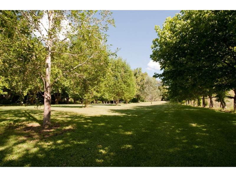 505 Pages River Rd, “Riverside”, Murrurundi NSW 2338