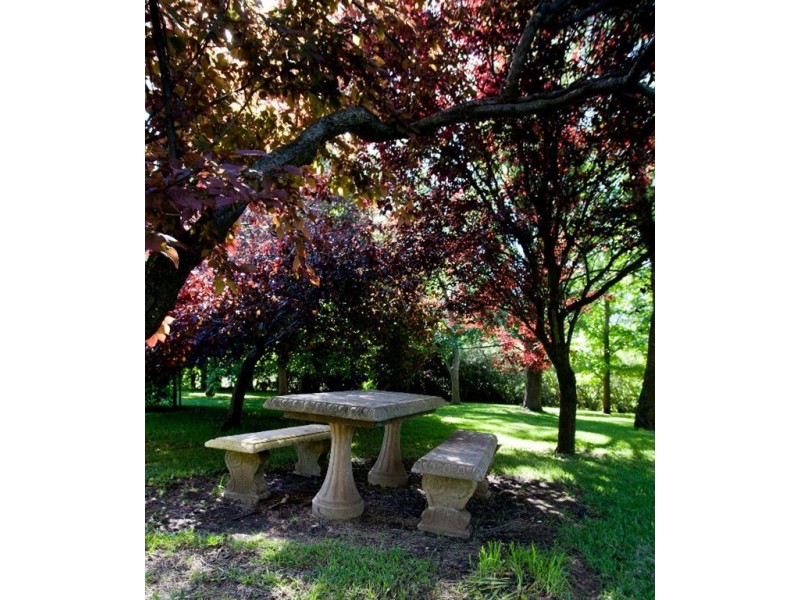 505 Pages River Rd, “Riverside”, Murrurundi NSW 2338