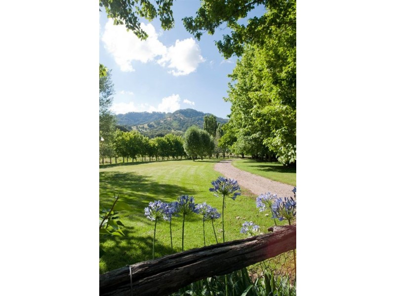 505 Pages River Rd, “Riverside”, Murrurundi NSW 2338