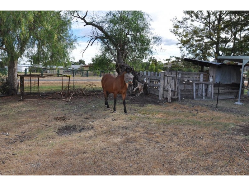 11 Roseberry St, Wingen NSW 2337