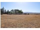 1226 Halls Rd, Aberdeen NSW 2336