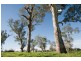 250 Blairmore Lane, “Blairwood”, Aberdeen NSW 2336