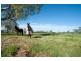 250 Blairmore Lane, “Blairwood”, Aberdeen NSW 2336