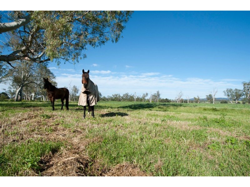 250 Blairmore Lane, “Blairwood”, Aberdeen NSW 2336