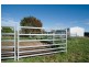 250 Blairmore Lane, “Blairwood”, Aberdeen NSW 2336