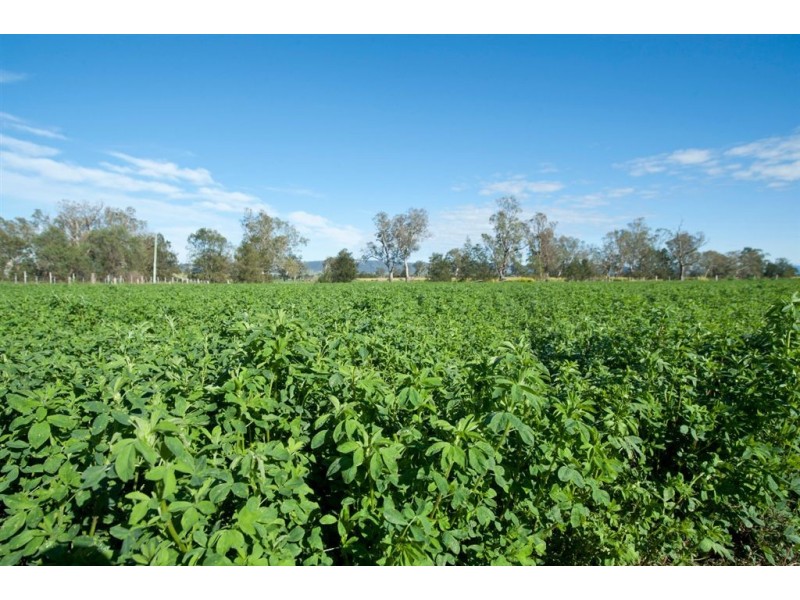 250 Blairmore Lane, “Blairwood”, Aberdeen NSW 2336