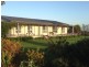 250 Blairmore Lane, “Blairwood”, Aberdeen NSW 2336