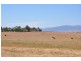 Mt Moobi Yarrandi Rd, Scone NSW 2337