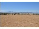 Mt Moobi Yarrandi Rd, Scone NSW 2337