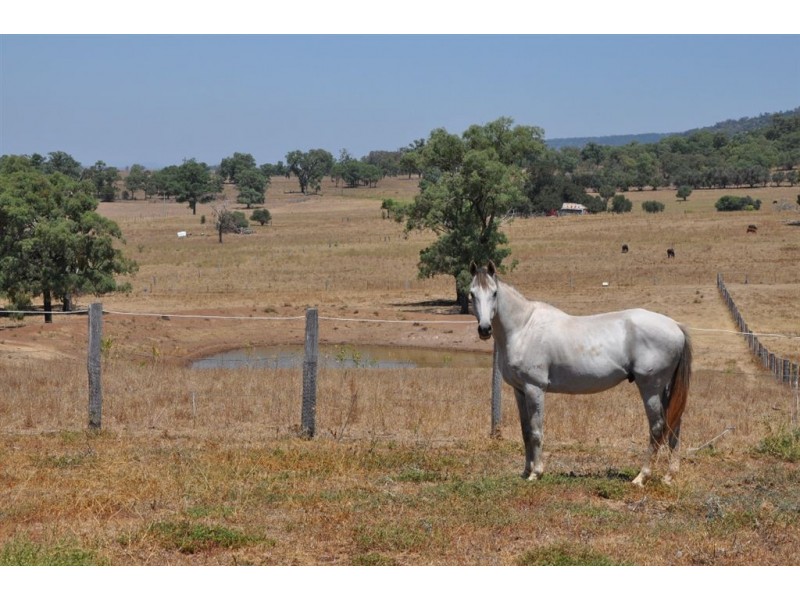 Mt Moobi Yarrandi Rd, Scone NSW 2337