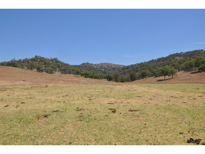 Mt Moobi Yarrandi Rd, Scone NSW 2337