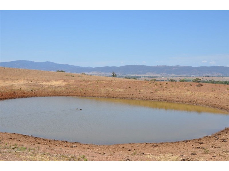 Mt Moobi Yarrandi Rd, Scone NSW 2337