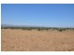 Mt Moobi Yarrandi Rd, Scone NSW 2337