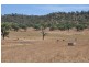 Mt Moobi Yarrandi Rd, Scone NSW 2337