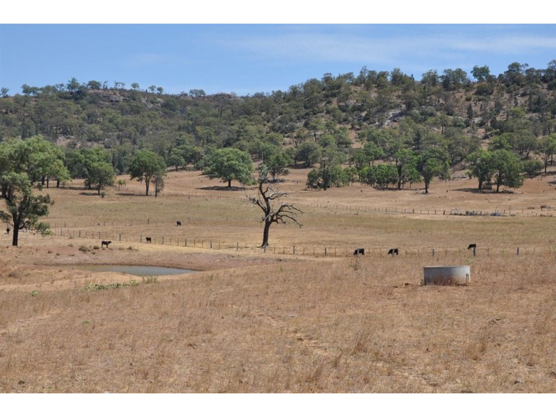 Mt Moobi Yarrandi Rd, Scone NSW 2337