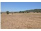 Mt Moobi Yarrandi Rd, Scone NSW 2337