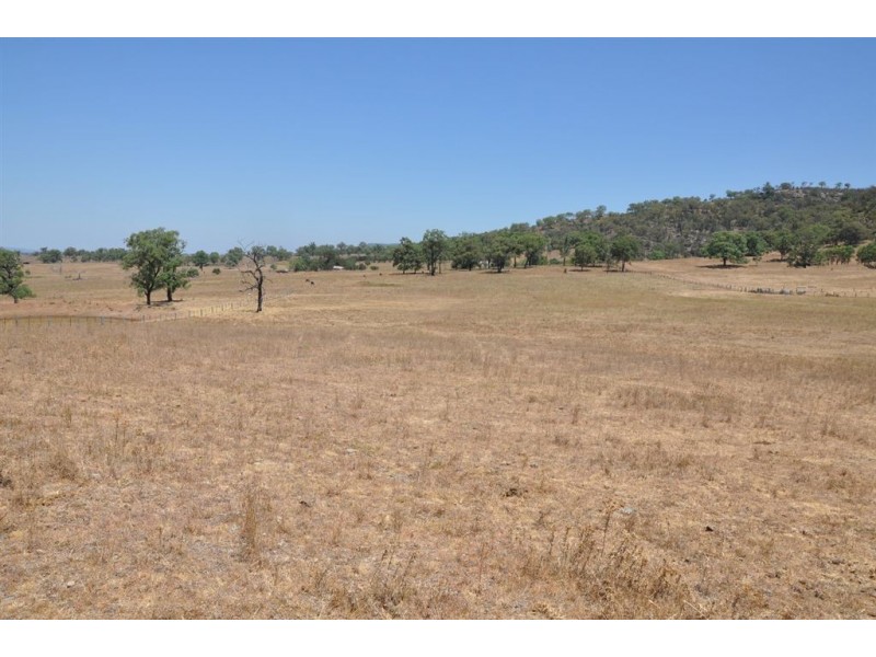 Mt Moobi Yarrandi Rd, Scone NSW 2337