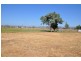 1226 Halls Rd, Aberdeen NSW 2336