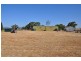 1226 Halls Rd, Aberdeen NSW 2336