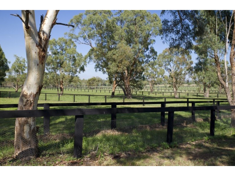 14 Moobi Rd, “Martindale”, Scone NSW 2337