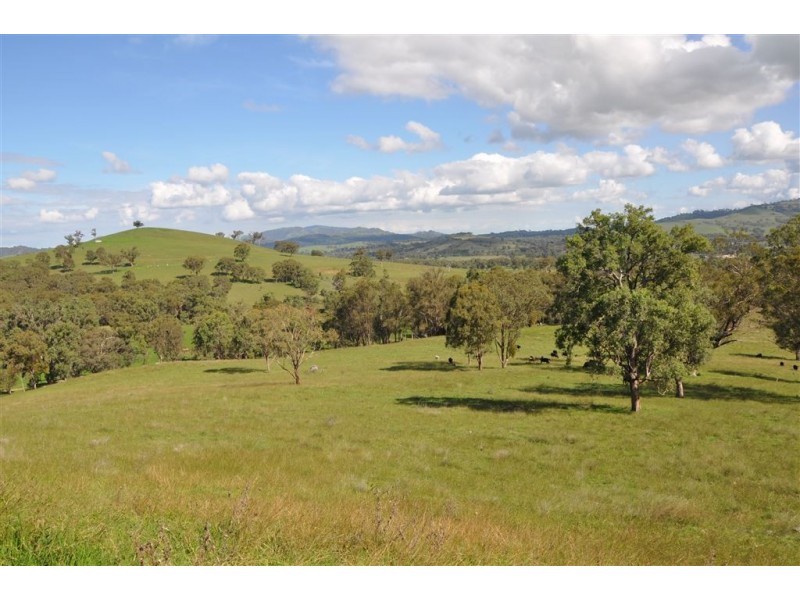 . “Cherlaney” Haydons Woolshed Rd, Blandford NSW 2338