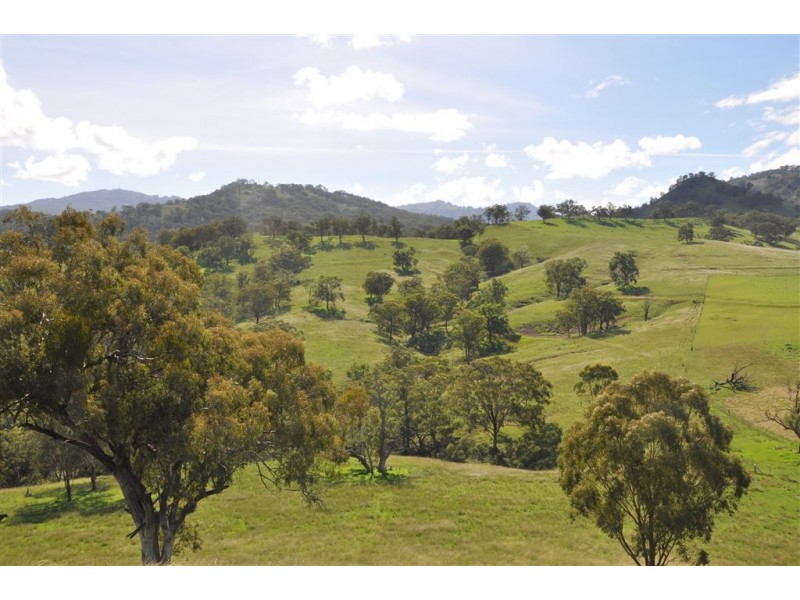 . “Cherlaney” Haydons Woolshed Rd, Blandford NSW 2338