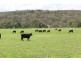 . “Alymerton”, Gamble Creek Rd, Coolah NSW 2843