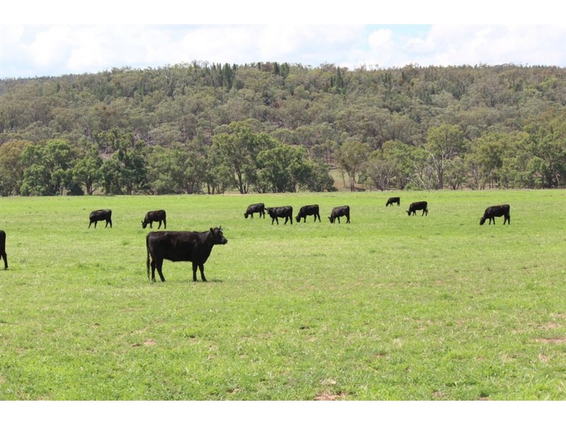 . “Alymerton”, Gamble Creek Rd, Coolah NSW 2843