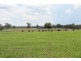 . “Alymerton”, Gamble Creek Rd, Coolah NSW 2843