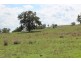 . “Alymerton”, Gamble Creek Rd, Coolah NSW 2843