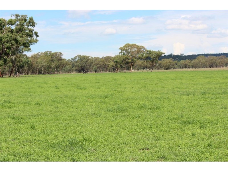 . “Alymerton”, Gamble Creek Rd, Coolah NSW 2843