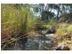 1053 Sandy Creek Rd, McCullys Gap via, Aberdeen NSW 2336