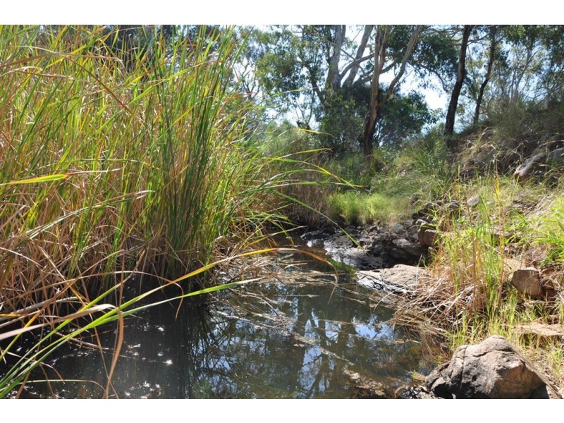 1053 Sandy Creek Rd, McCullys Gap via, Aberdeen NSW 2336