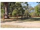 1053 Sandy Creek Rd, McCullys Gap via, Aberdeen NSW 2336
