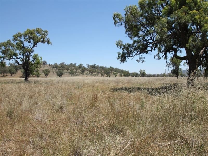 148 Warrah Creek Rd, Willow Tree NSW 2339