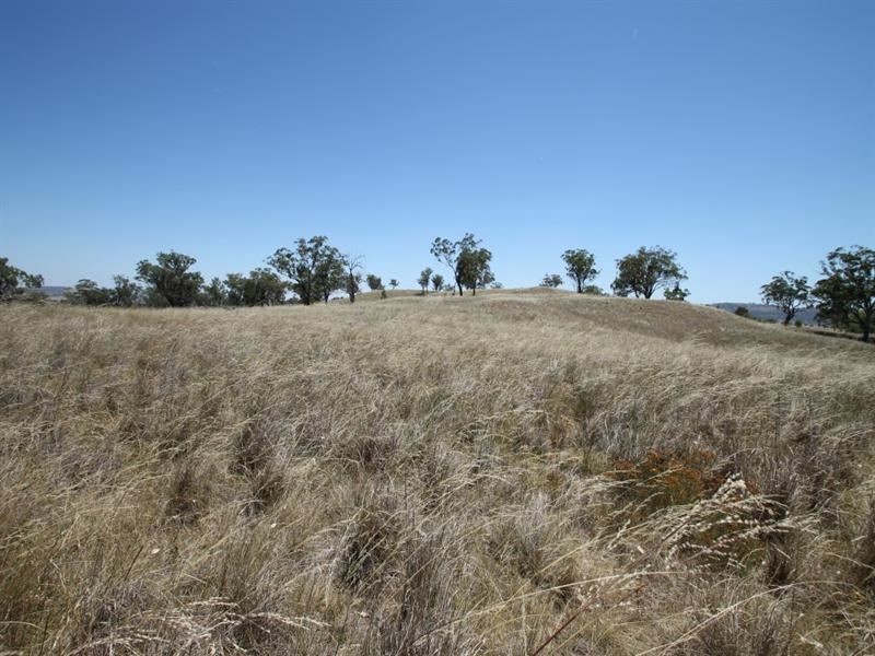 148 Warrah Creek Rd, Willow Tree NSW 2339