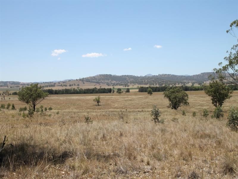 148 Warrah Creek Rd, Willow Tree NSW 2339