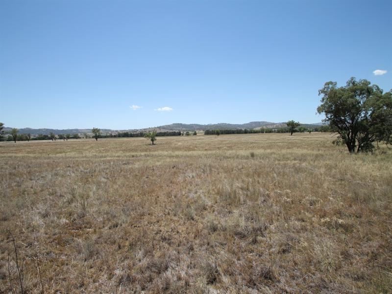 148 Warrah Creek Rd, Willow Tree NSW 2339