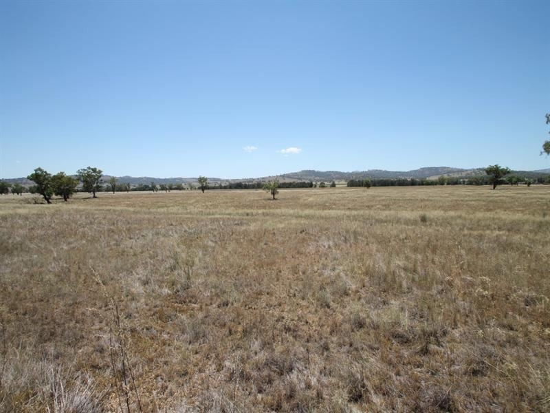 148 Warrah Creek Rd, Willow Tree NSW 2339