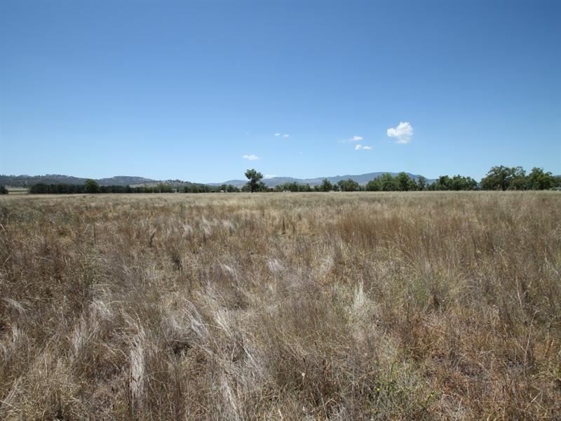 148 Warrah Creek Rd, Willow Tree NSW 2339